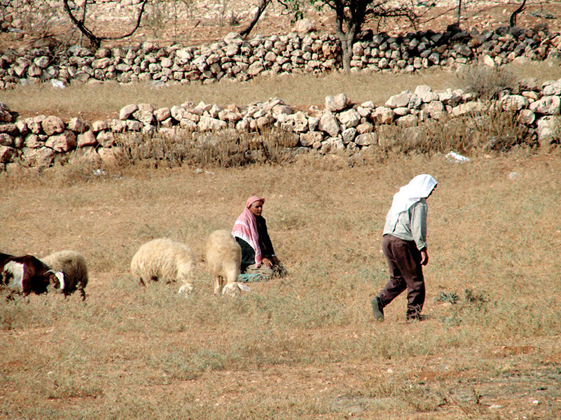 HEBRON (36)