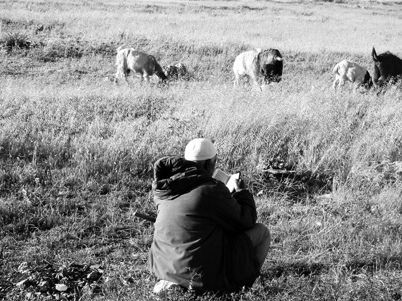koransheppard,bw