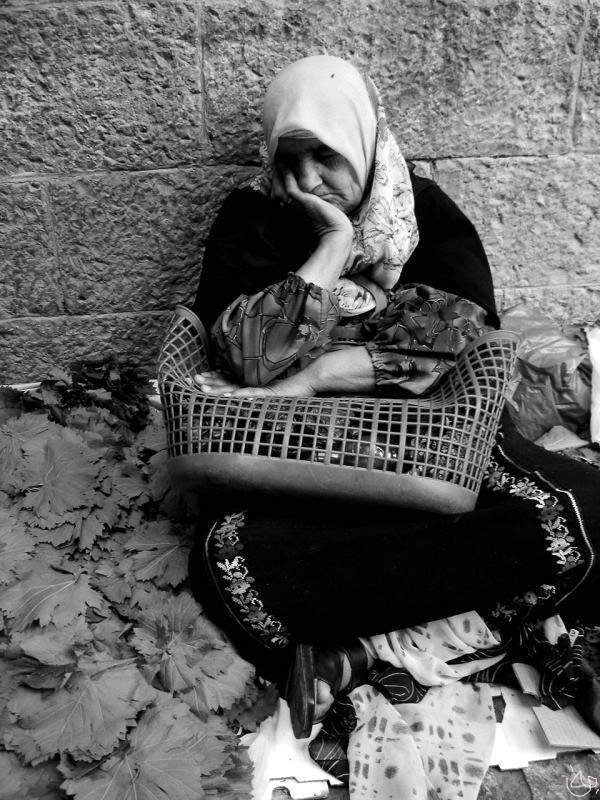 series my juersalem (4)