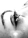 series portraits (4)
