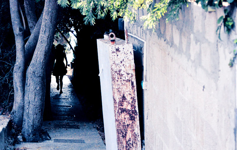 DSC_1234, l (388)