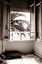 DSC06856
